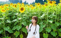 新版猫咪目前的地址IOS